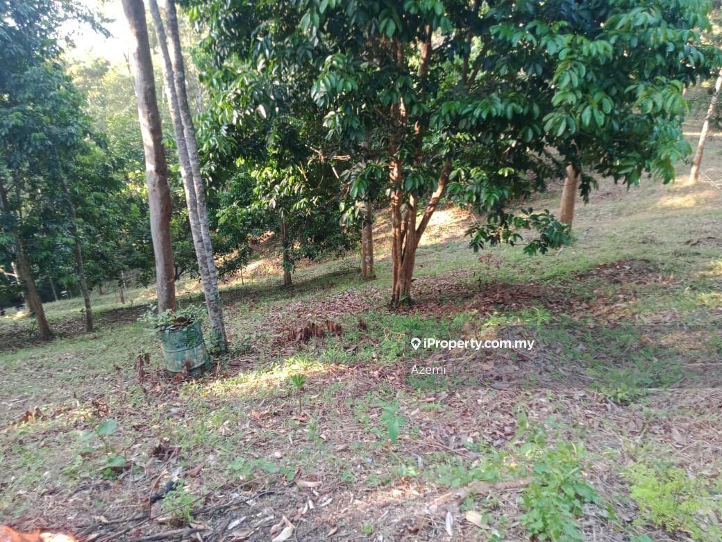 Tanah Pertanian untuk Dijual di Ulu Melaka, Langkawi, Ulu Melaka oleh Azemi - iProperty.com.my