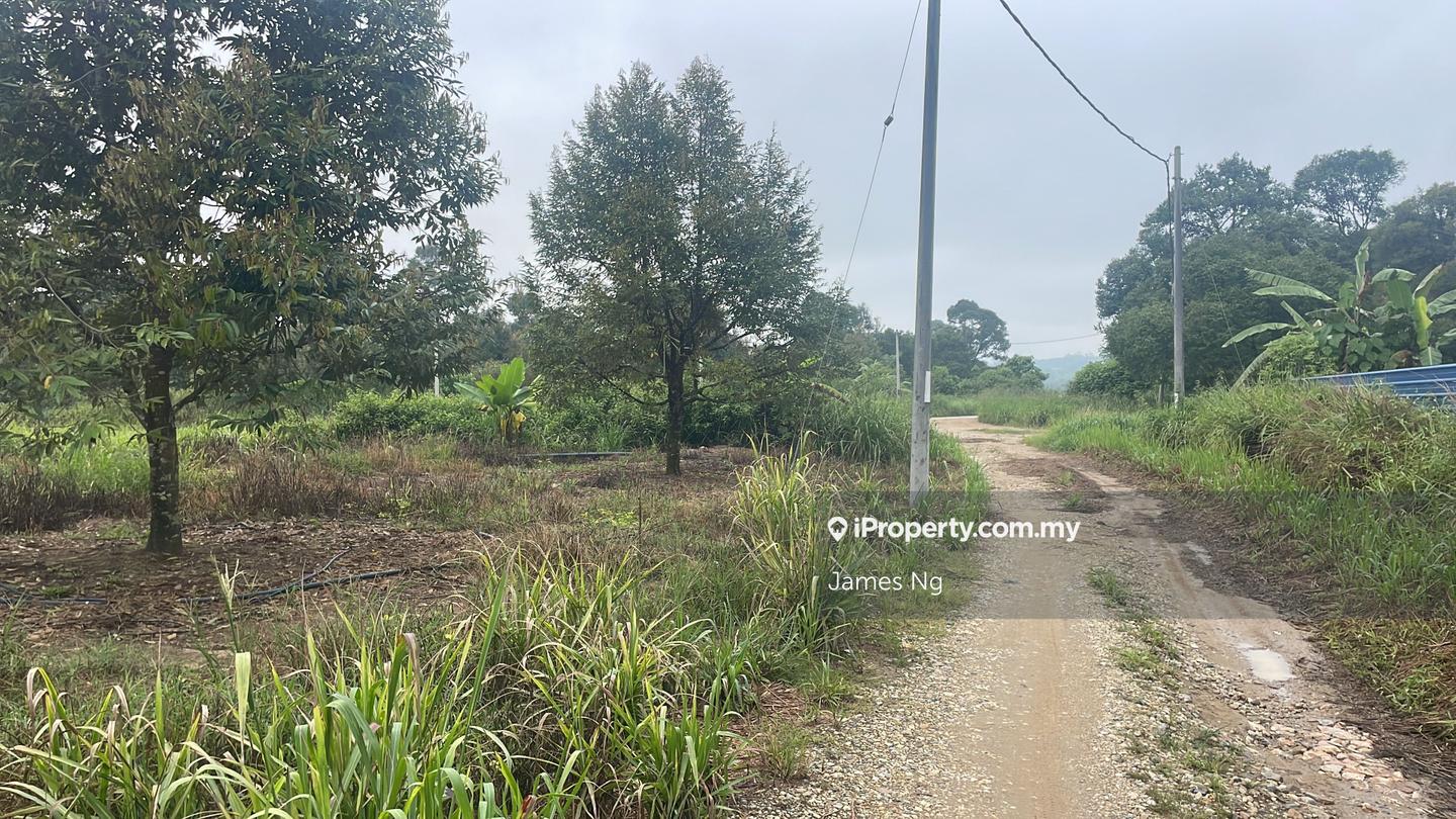 Tanah Pertanian untuk Dijual di Karak, Pahang oleh James Ng - iProperty.com.my