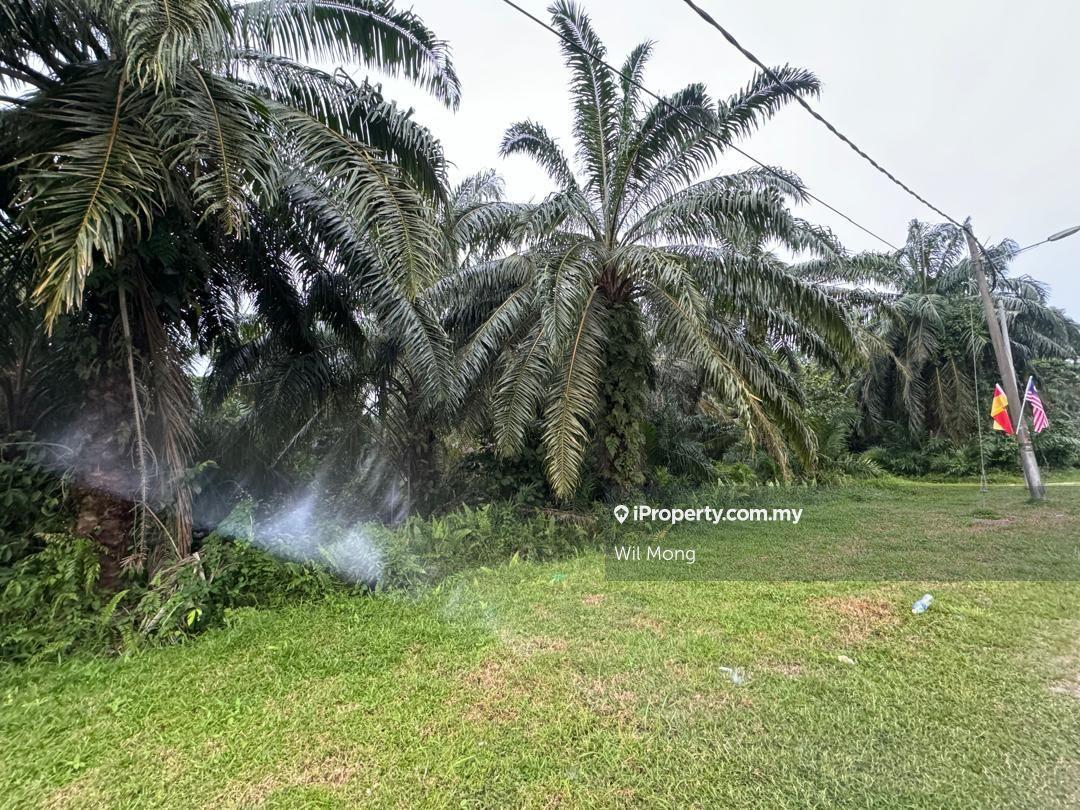 Tanah Pertanian untuk Dijual di KLIA,Jugra,kampung kahtong, Banting oleh Wil Mong - iProperty.com.my