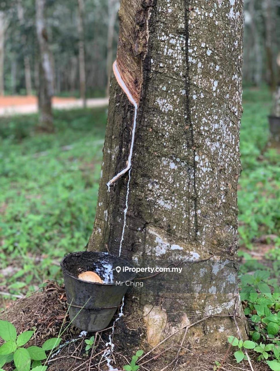 Agricultural Land for Sale in Taman Lendu Bakti, Lendu by Mr Ching - iProperty.com.my