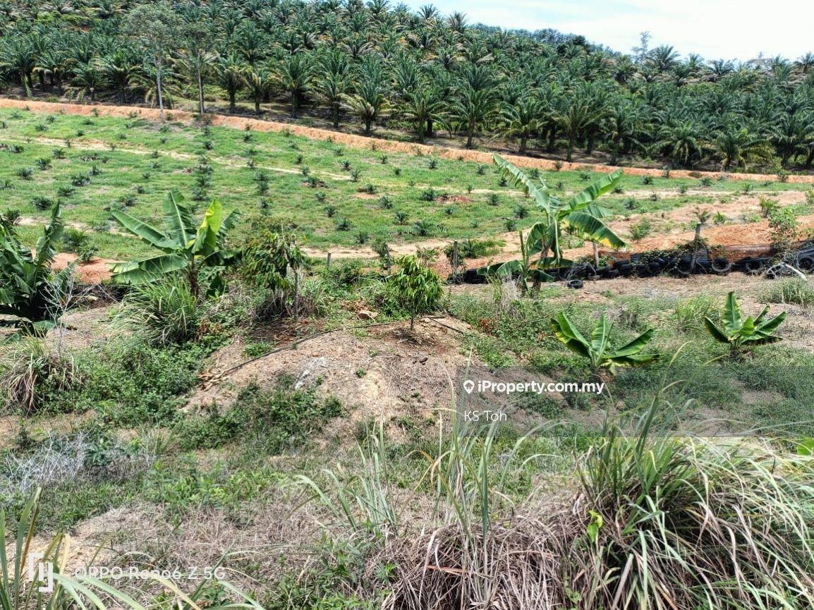 Agricultural Land for Sale in Kampung Kendong Lama, Gadong by KS Toh - iProperty.com.my