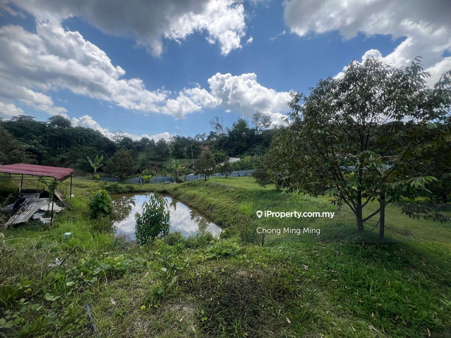 Tanah Pertanian untuk Dijual di Kampung Pantai, Pantai oleh Chong Ming Ming - iProperty.com.my