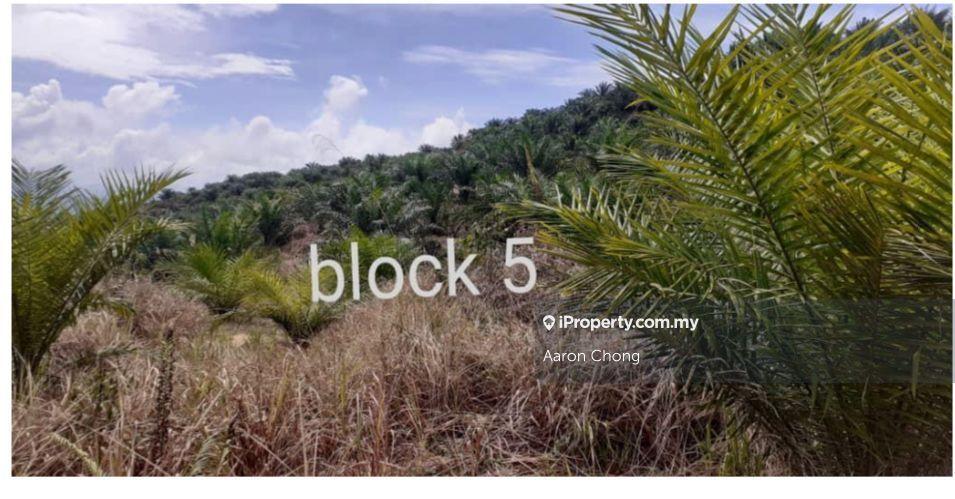 Tanah Pertanian untuk Dijual di Ranau, Sabah oleh Aaron Chong - iProperty.com.my