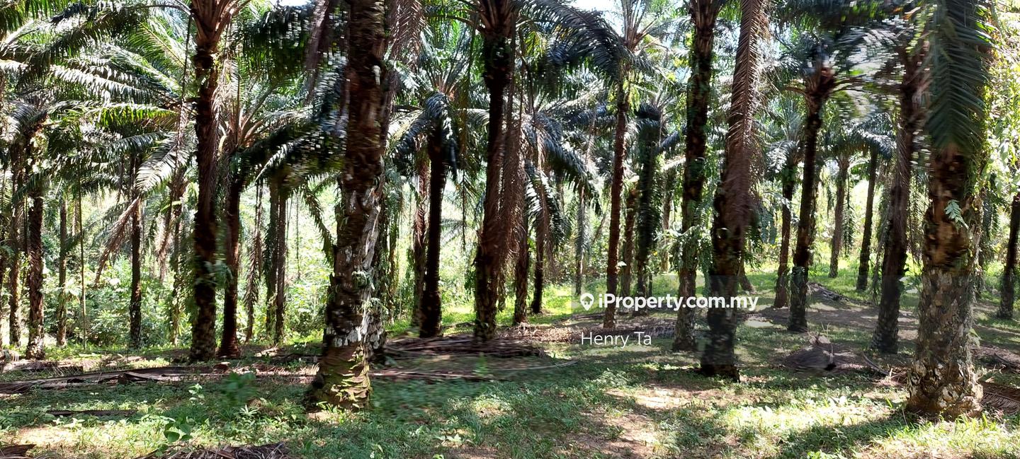 Tanah Perindustrian untuk Dijual di Hulu Semenyih, Semenyih oleh Henry Ta - iProperty.com.my
