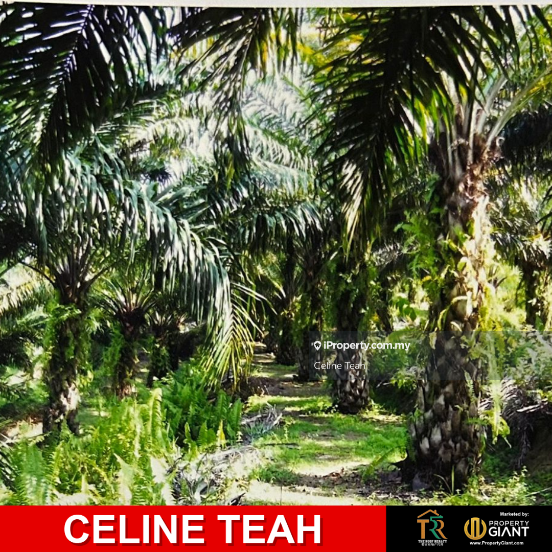Agricultural Land for Sale in Keningau, Sabah by Celine Teah - iProperty.com.my