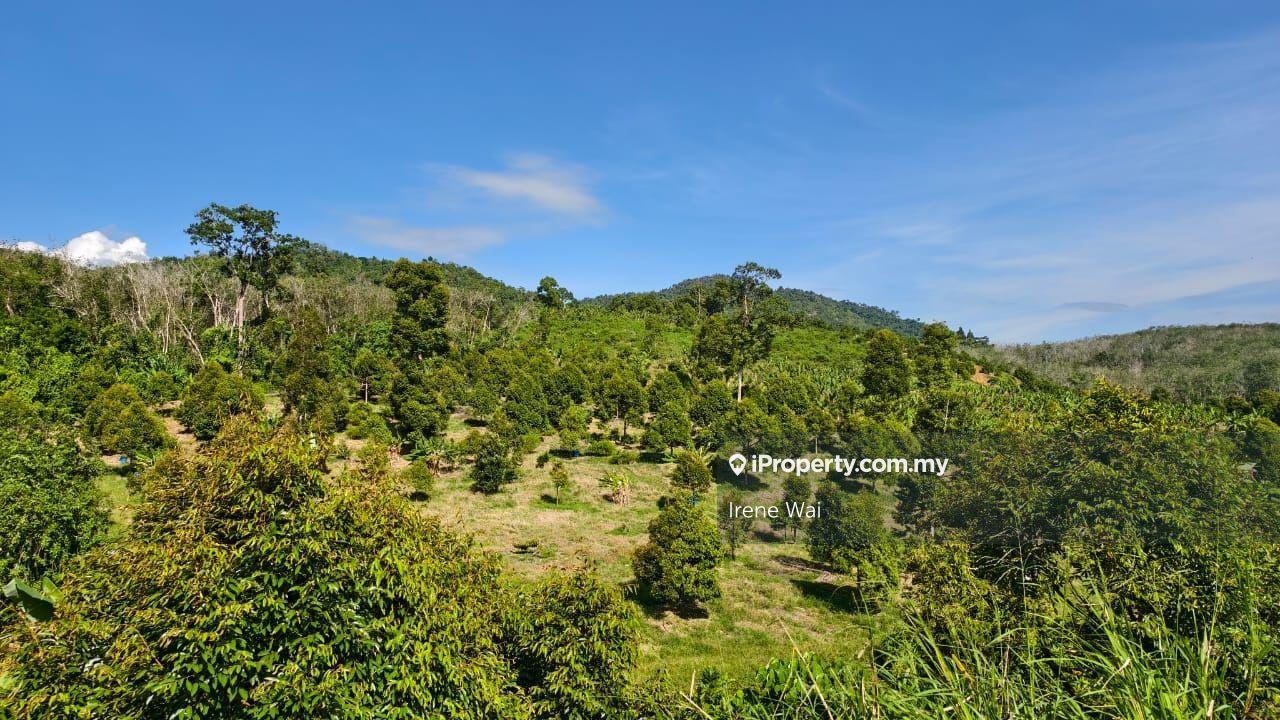 Tanah Pertanian untuk Dijual di Freehold Durian Farm with stream for Sales, Lenggong oleh Irene Wai - iProperty.com.my