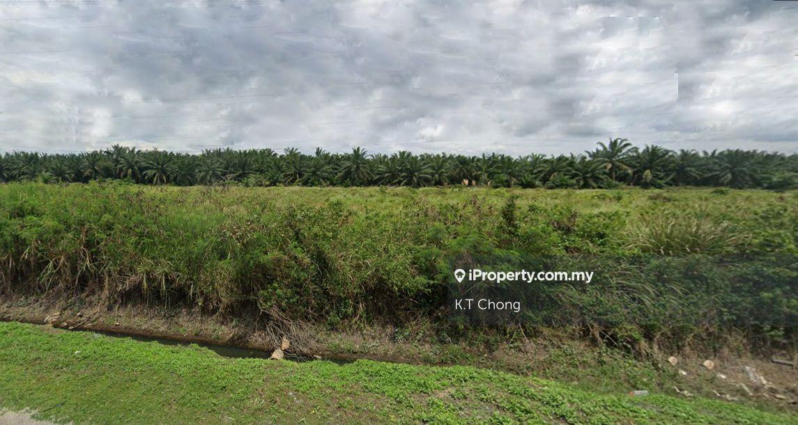 Industrial Land for Sale in Banting, Banting by K.T Chong - iProperty.com.my