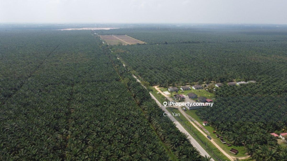 Agricultural Land for Sale in Padang Meha, Kedah by Cai Yan - iProperty.com.my