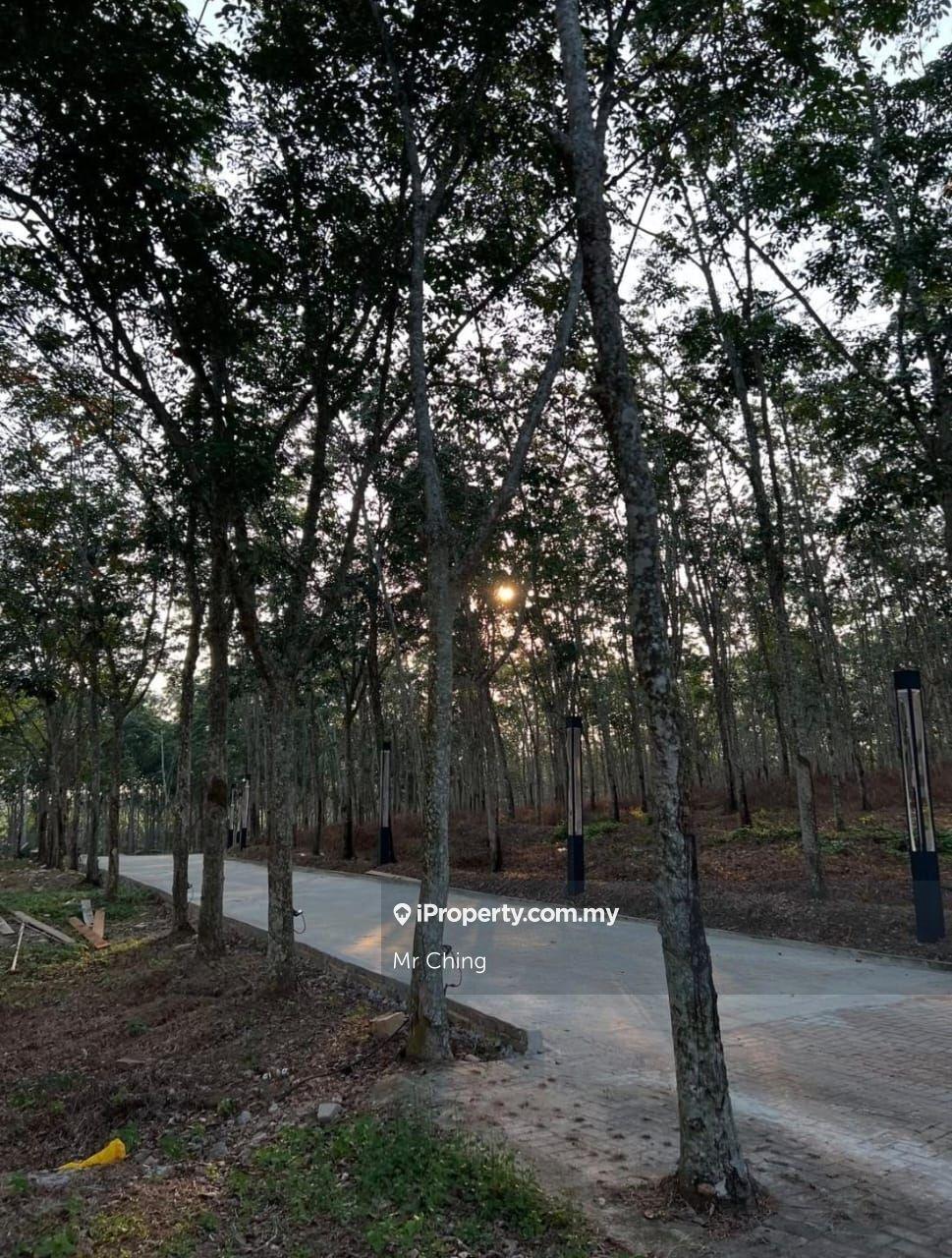 Agricultural Land for Sale in Taman Lendu Bakti, Lendu by Mr Ching - iProperty.com.my
