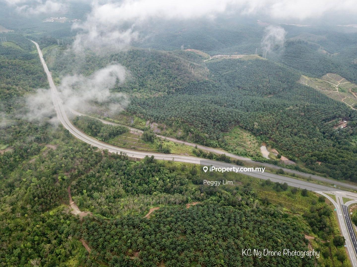 Agricultural Land for Sale in Sri Jaya, Maran by Peggy Lim - iProperty.com.my