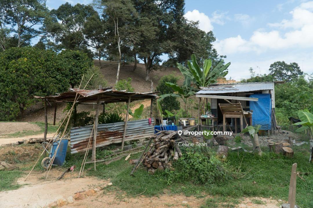 Agricultural Land for Sale in Papar Fruits Farm, Papar by Celine Teah - iProperty.com.my