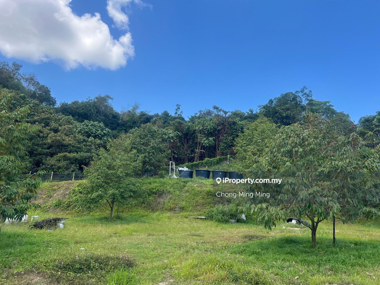 Tanah Pertanian untuk Dijual di Kampung Pantai, Pantai oleh Chong Ming Ming - iProperty.com.my