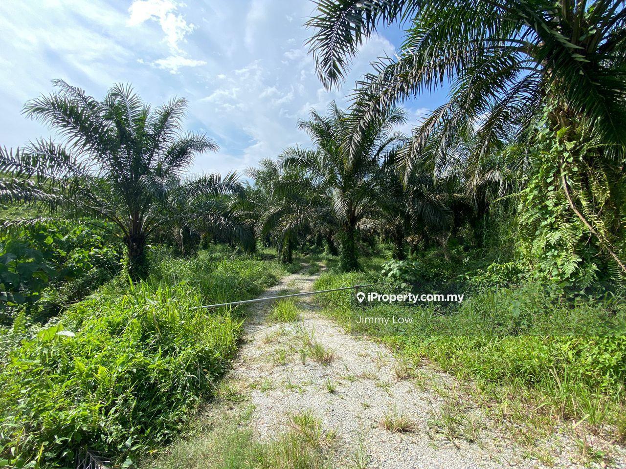 Agricultural Land for Sale in Karak, Pahang by Jimmy Low - iProperty.com.my