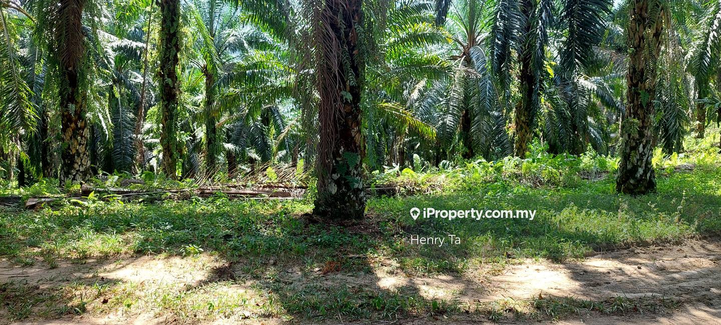 Tanah Perindustrian untuk Dijual di Hulu Semenyih, Semenyih oleh Henry Ta - iProperty.com.my