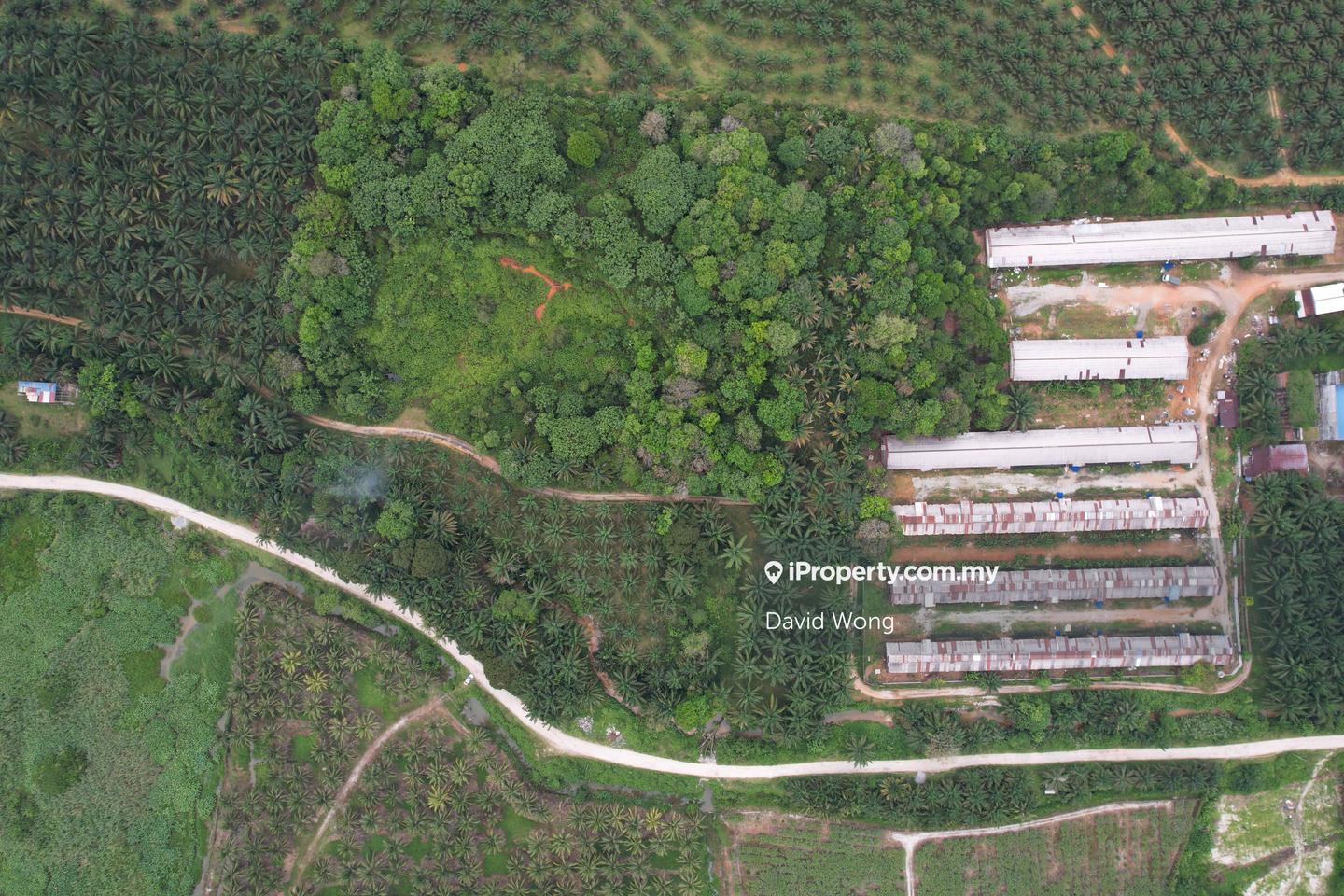 Agricultural Land for Sale in Rancangan Kampung Tersusun Batu 14, Terung by David Wong - iProperty.com.my