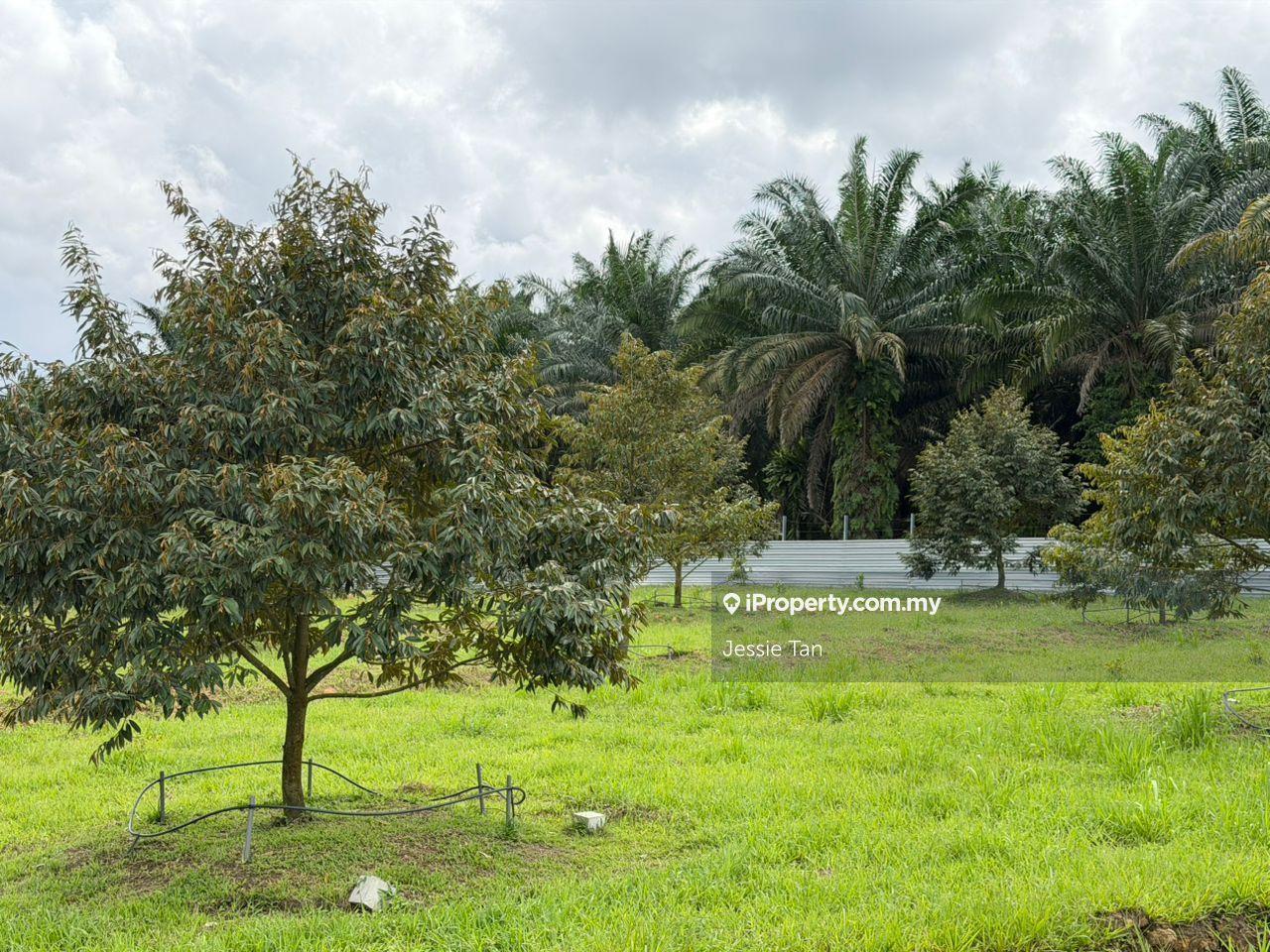 Agricultural Land for Sale in Kampung Baru Ban Foo, Ulu Tiram by Jessie Tan - iProperty.com.my