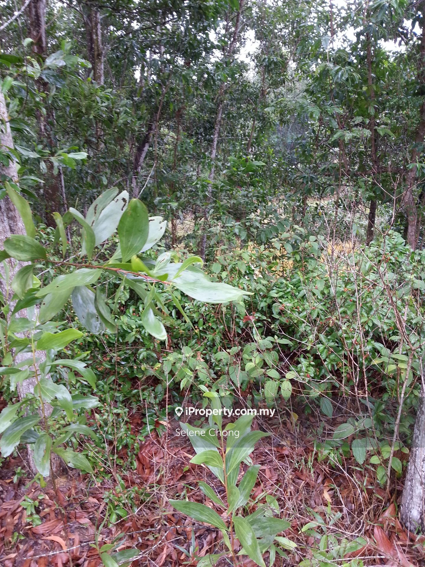 Tanah Kediaman untuk Dijual di College Heights Garden Resort, Setul oleh Selene Chong - iProperty.com.my