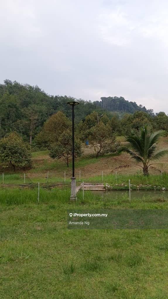 Agricultural Land for Sale in Serendah, Rawang by Amanda Ng - iProperty.com.my