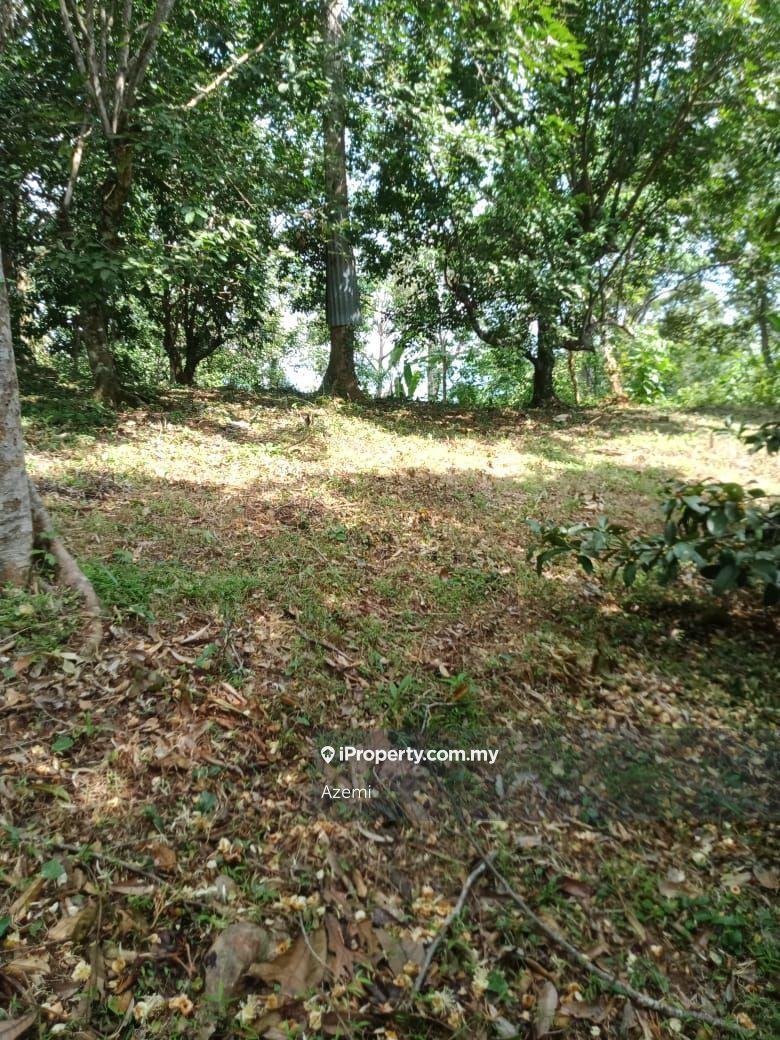 Tanah Pertanian untuk Dijual di Ulu Melaka, Langkawi, Ulu Melaka oleh Azemi - iProperty.com.my