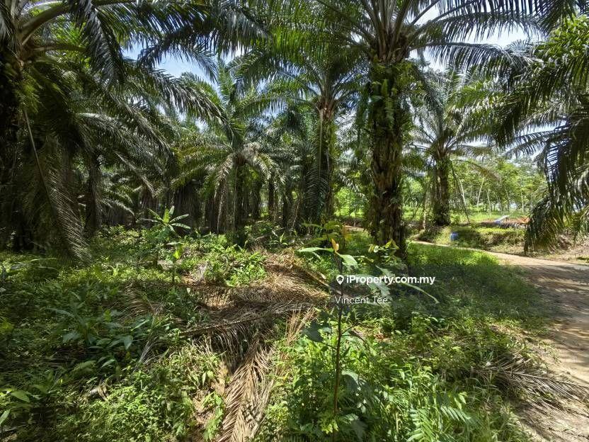 Agricultural Land for Sale in Taman Jelebu, Kuala Klawang by Vincent Tee - iProperty.com.my