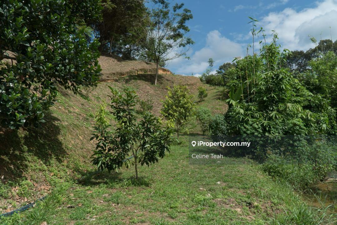 Agricultural Land for Sale in Papar Fruits Farm, Papar by Celine Teah - iProperty.com.my