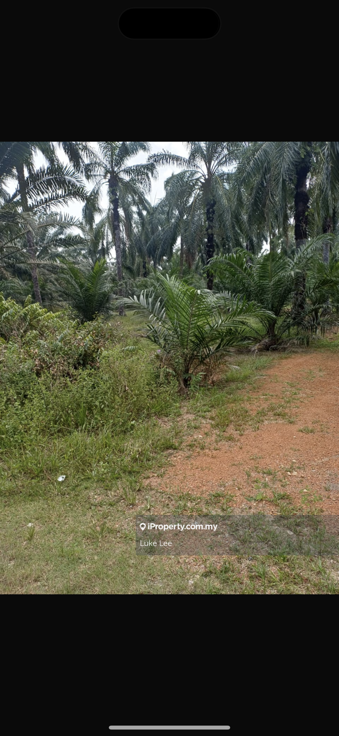 Agricultural Land for Sale in Kawasan Perindustrian Olak Lempit, Banting by Luke Lee - iProperty.com.my