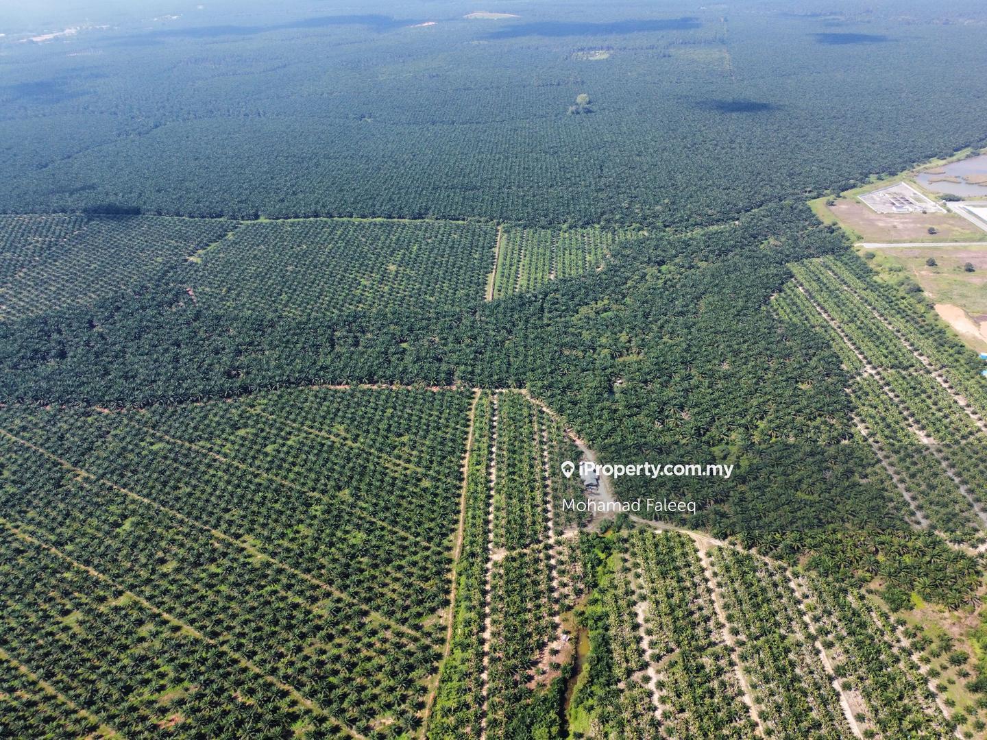 Tanah Perindustrian untuk Dijual di Kuantan, Pahang oleh Mohamad Faleeq - iProperty.com.my