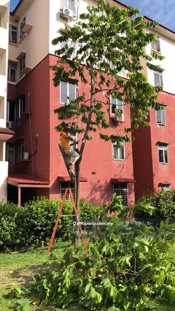 Apartment for Sale in Orchid @ Anggerik by Ann Wai - iProperty.com.my