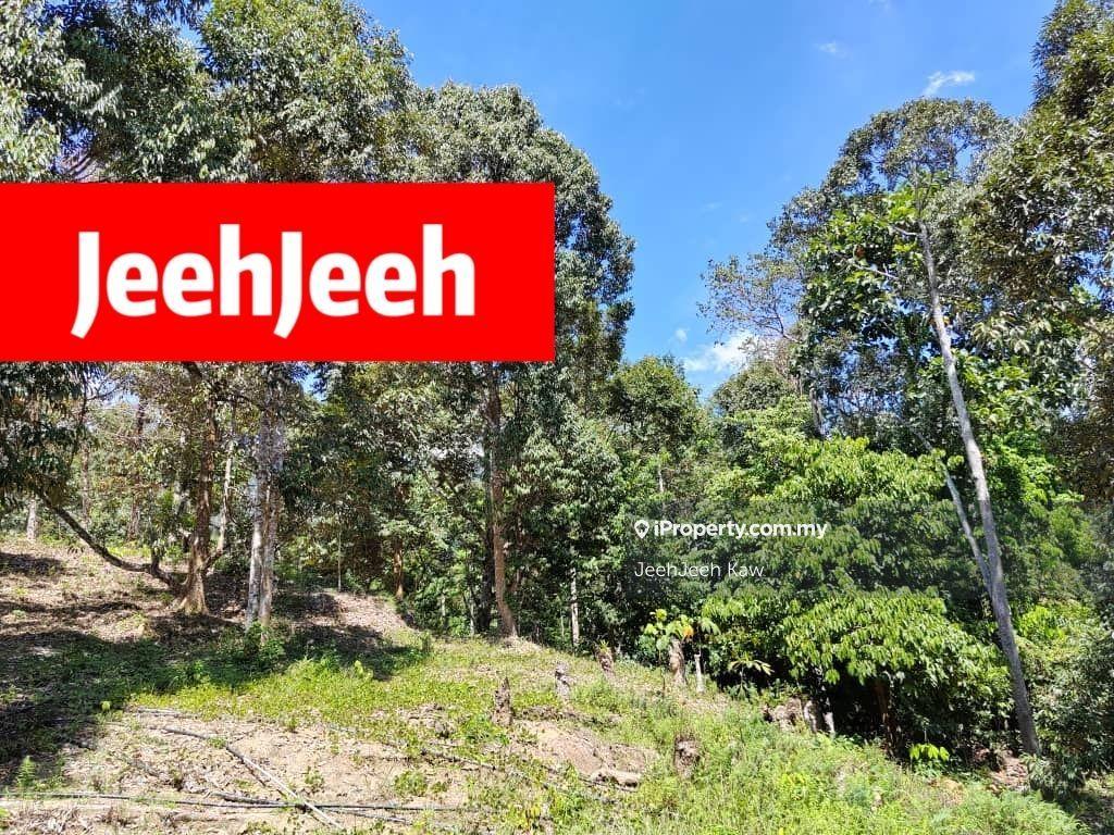 Agricultural Land for Sale in Merbok, Kedah by JeehJeeh Kaw - iProperty.com.my