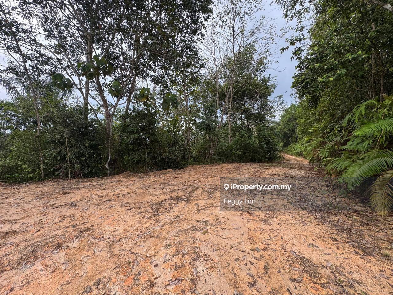 Agricultural Land for Sale in Rasa, Selangor by Peggy Lim - iProperty.com.my