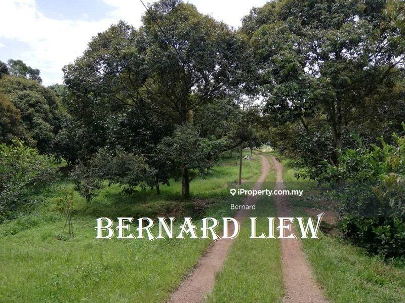 Agricultural Land for Sale in Gurun, Kedah by Bernard - iProperty.com.my