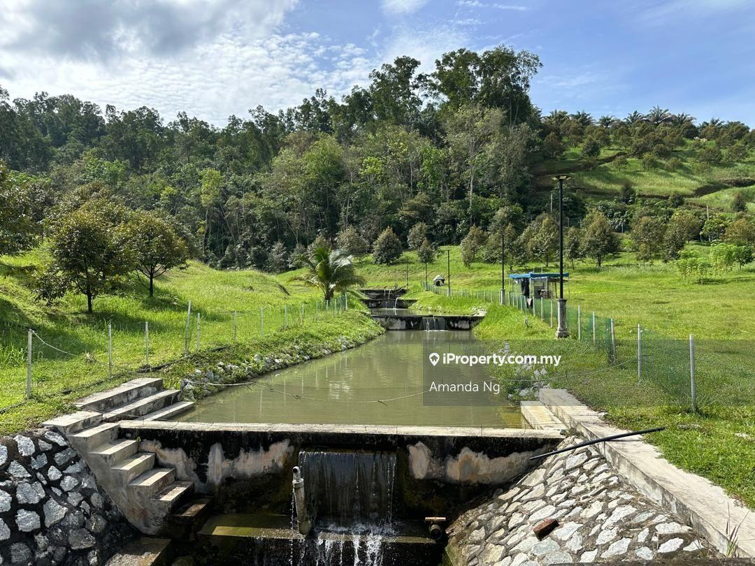 Agricultural Land for Sale in Serendah, Rawang by Amanda Ng - iProperty.com.my