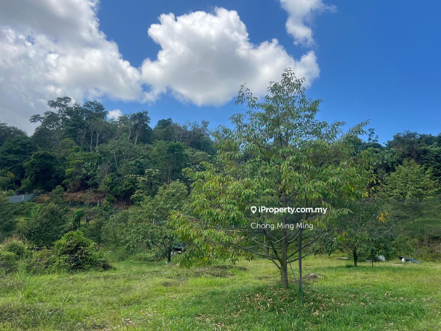 Tanah Pertanian untuk Dijual di Kampung Pantai, Pantai oleh Chong Ming Ming - iProperty.com.my