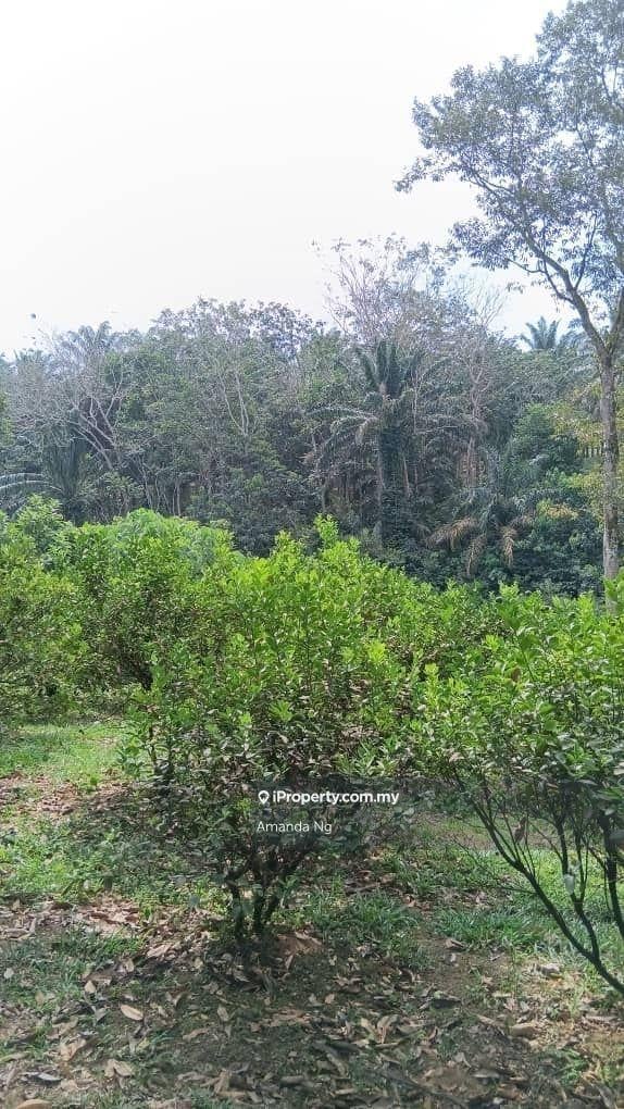 Agricultural Land for Sale in Antara Gapi, Ulu Yam by Amanda Ng - iProperty.com.my