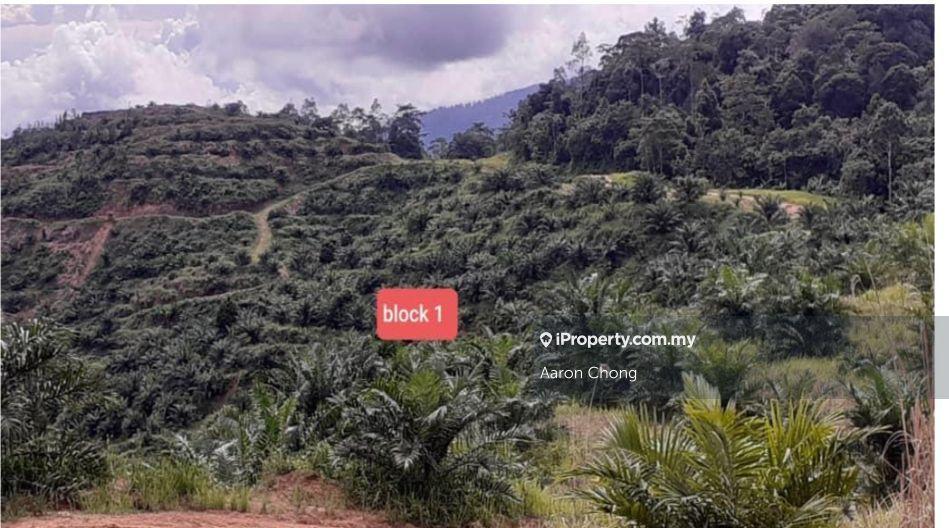 Tanah Pertanian untuk Dijual di Ranau, Sabah oleh Aaron Chong - iProperty.com.my