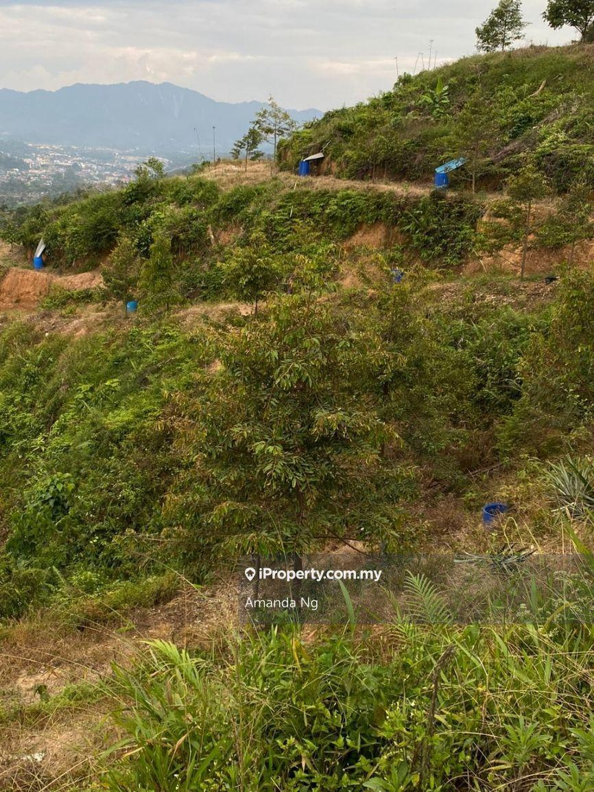Agricultural Land for Sale in Kuala Lipis mukim penjom, Kuala Lipis by Amanda Ng - iProperty.com.my