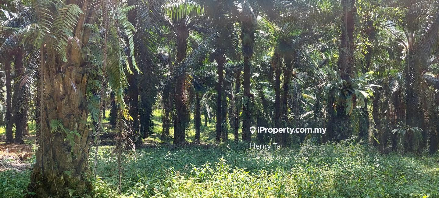 Tanah Perindustrian untuk Dijual di Hulu Semenyih, Semenyih oleh Henry Ta - iProperty.com.my