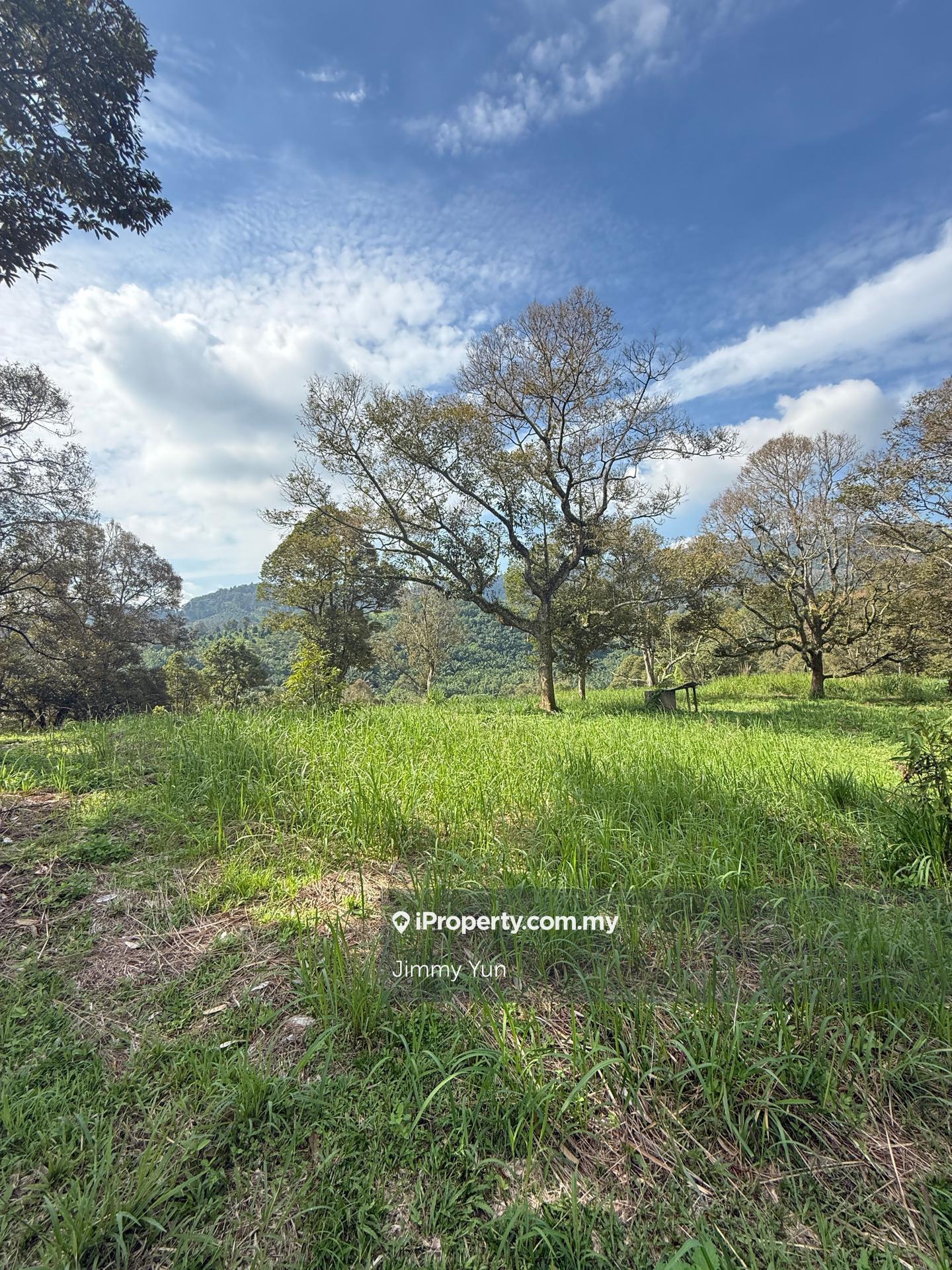 Agricultural Land for Sale in Pekan Mantin, Mantin by Jimmy Yun - iProperty.com.my