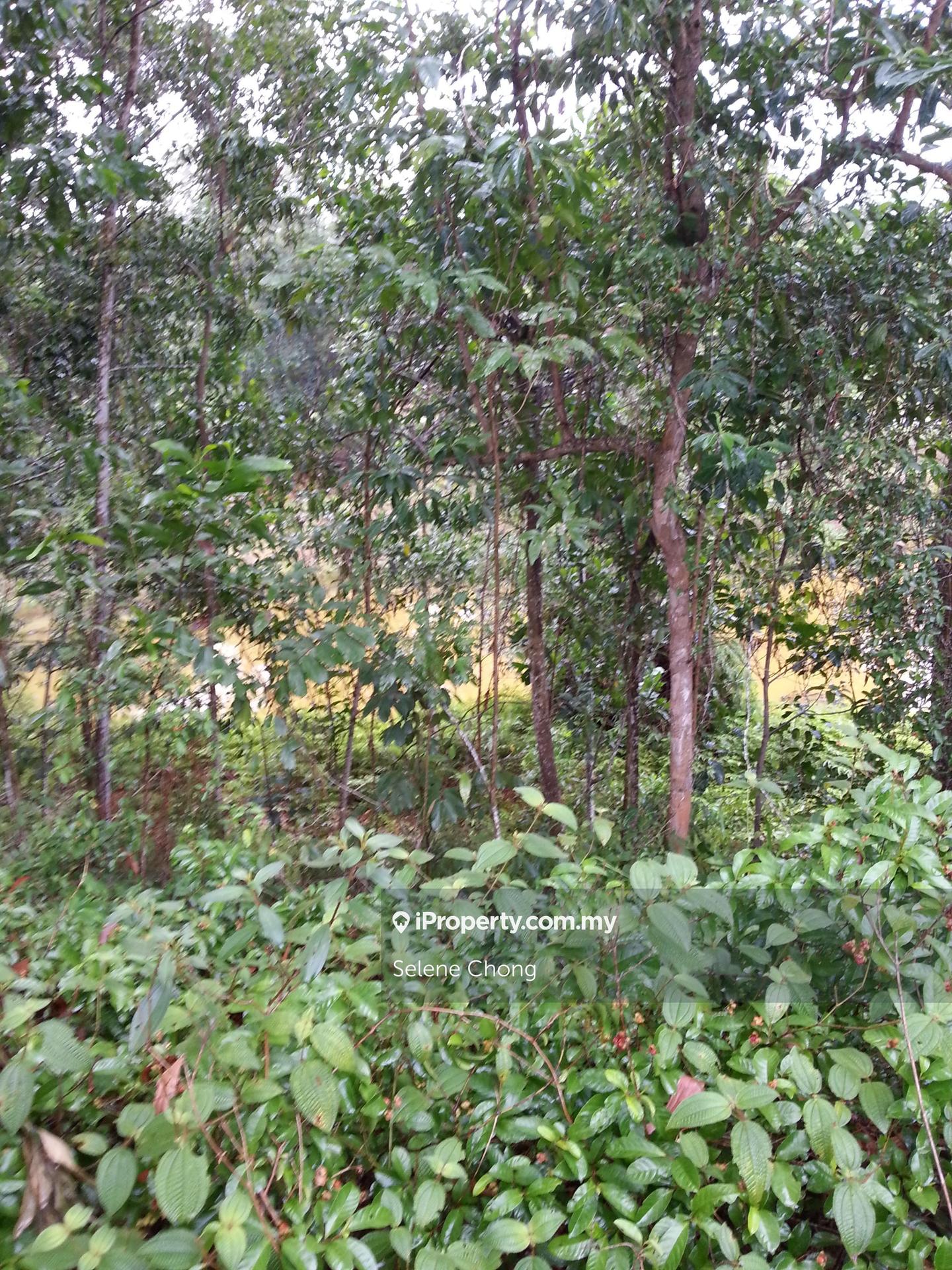 Tanah Kediaman untuk Dijual di College Heights Garden Resort, Setul oleh Selene Chong - iProperty.com.my