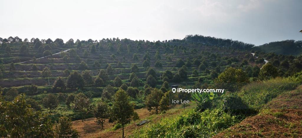 Agricultural Land for Sale in Kerling, Rawang by Ice Lee - iProperty.com.my