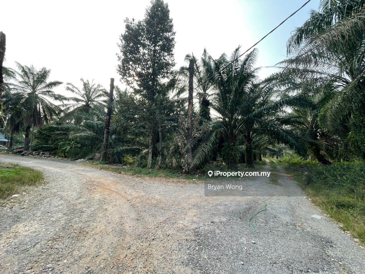 Agricultural Land for Sale in Kampung Jenjarom, Jenjarom by Bryan Wong - iProperty.com.my