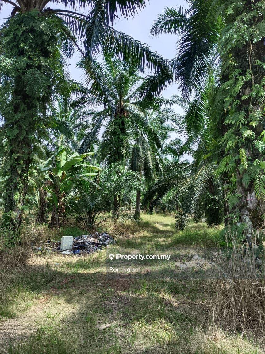 Industrial Land for Sale in Telok Panglima Garang Industrial Zone, Telok Panglima Garang by Ron Ngiam - iProperty.com.my