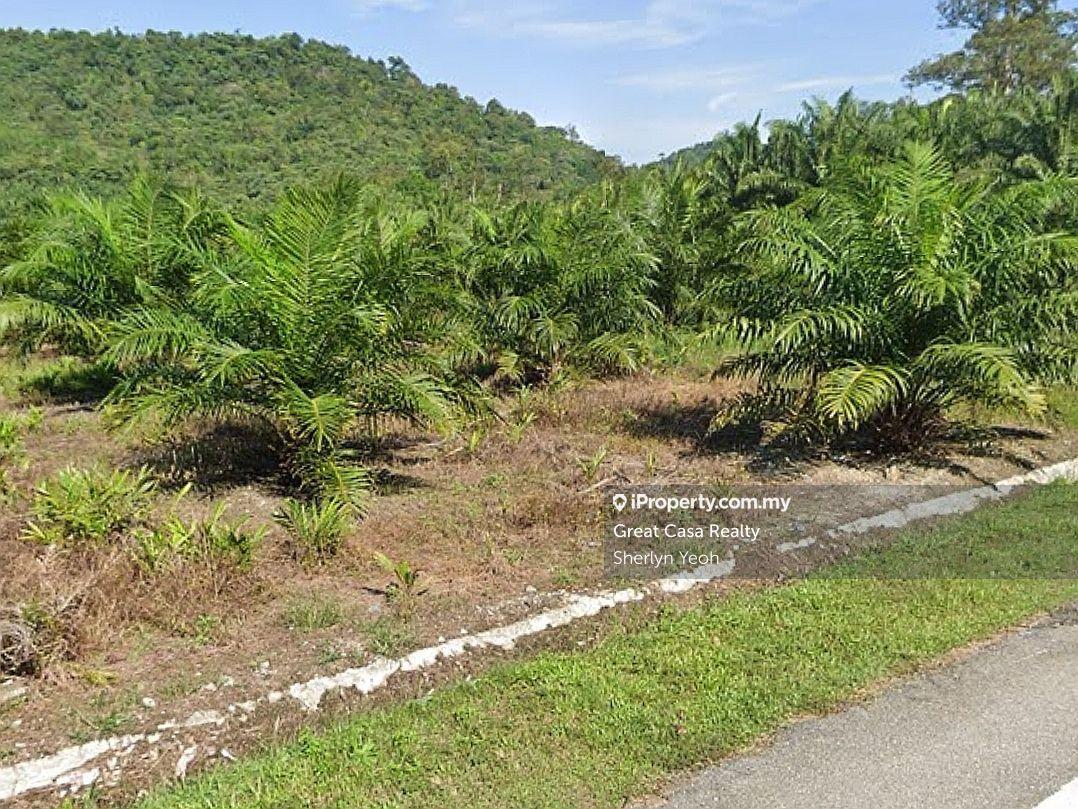 Agricultural Land for Sale in Behrang Stesen, Tanjung Malim by Sherlyn Yeoh - iProperty.com.my