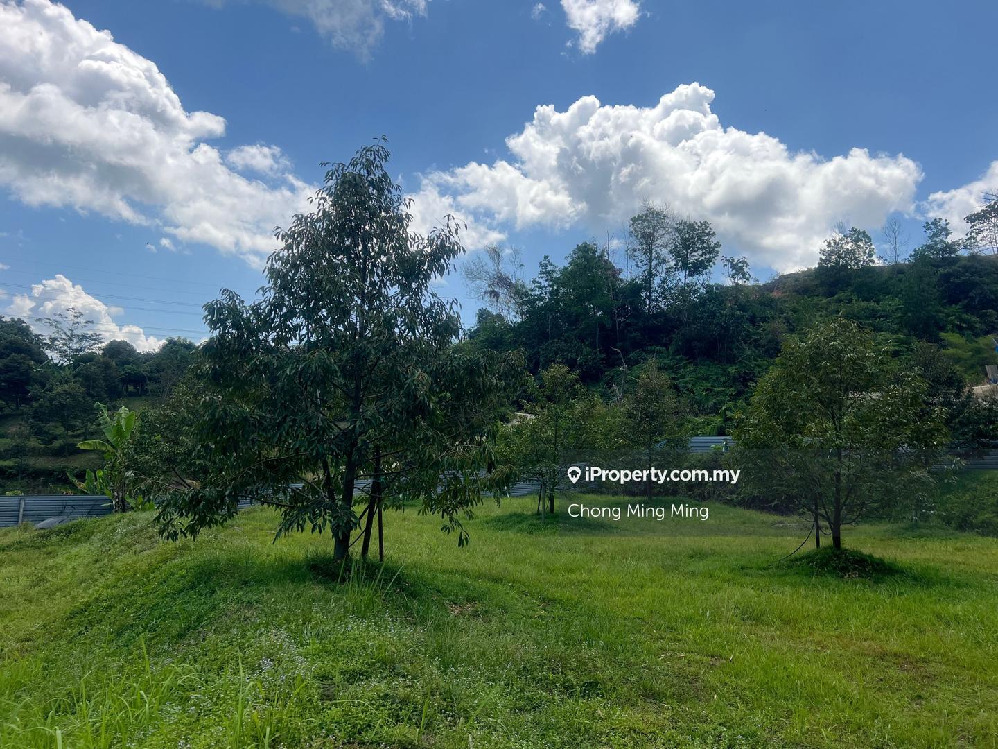 Tanah Pertanian untuk Dijual di Kampung Pantai, Pantai oleh Chong Ming Ming - iProperty.com.my