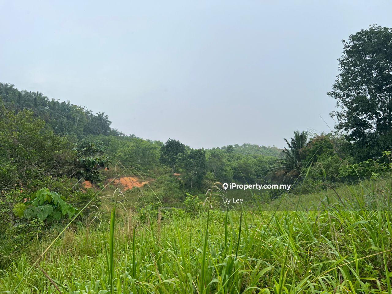 Tanah Pertanian untuk Disewa di Seelong, Senai oleh By Lee - iProperty.com.my