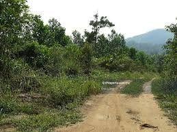 Tanah Pertanian untuk Dijual di Endau, Rompin oleh Elvis Liang - iProperty.com.my