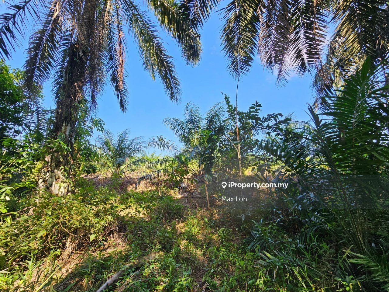 Tanah Pertanian untuk Dijual di Kota Tinggi, Kota Tinggi oleh Max Loh - iProperty.com.my