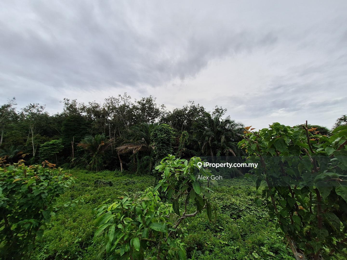 Tanah Pertanian untuk Dijual di Jalan Pajam Mantin, Pajam oleh Alex Goh - iProperty.com.my