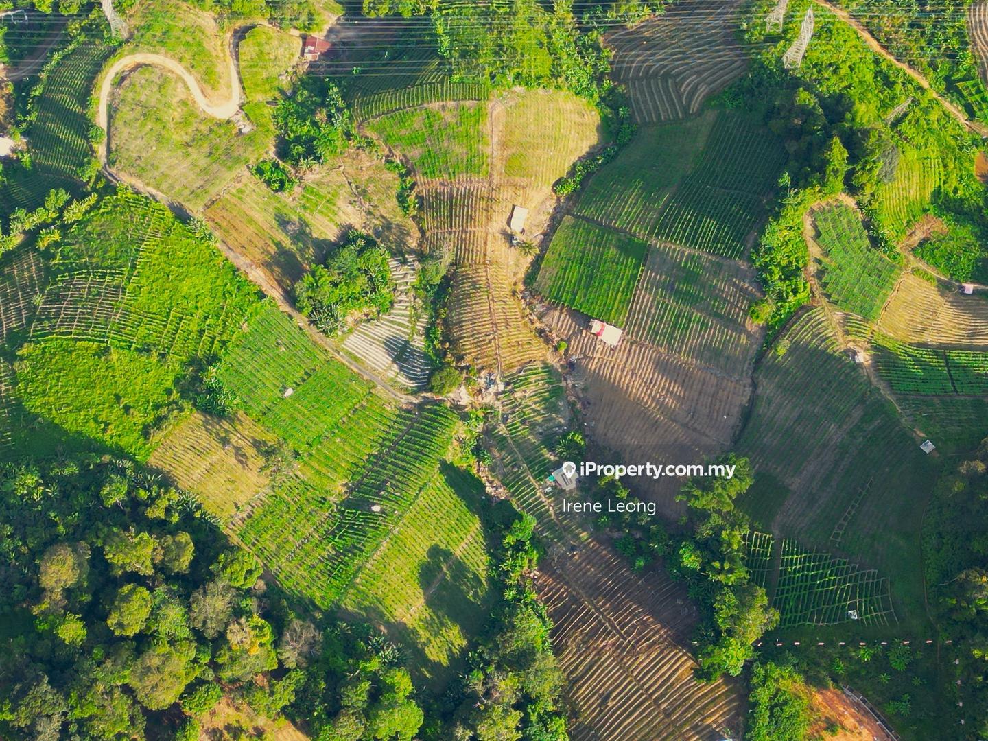 Agricultural Land for Sale in Genting Highlands, Bentong by Irene Leong - iProperty.com.my