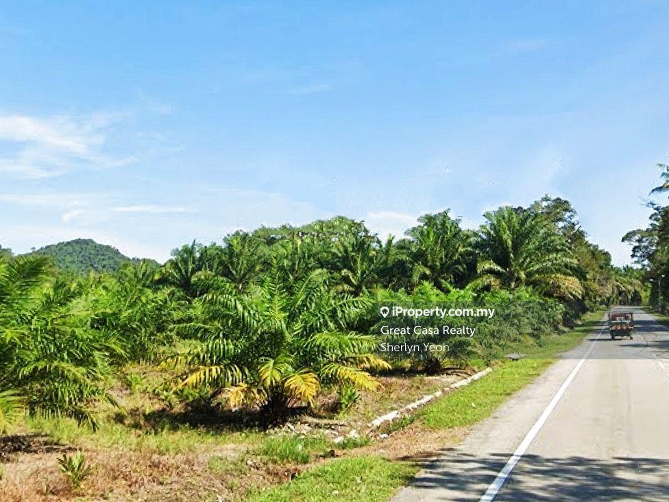 Agricultural Land for Sale in Behrang Stesen, Tanjung Malim by Sherlyn Yeoh - iProperty.com.my